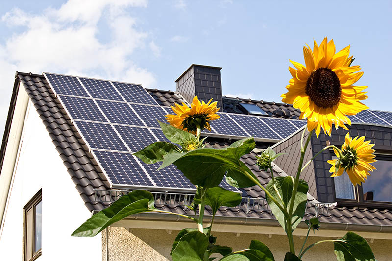 Respondemos a tus preguntas sobre placas solares