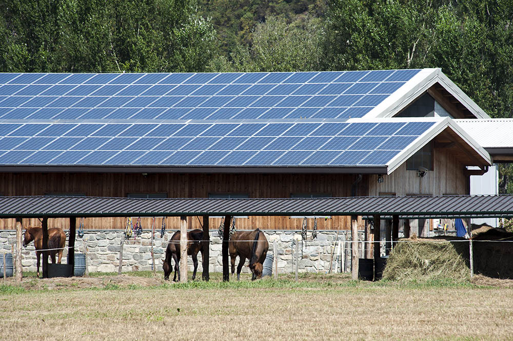 Instalación solar industrial en granja